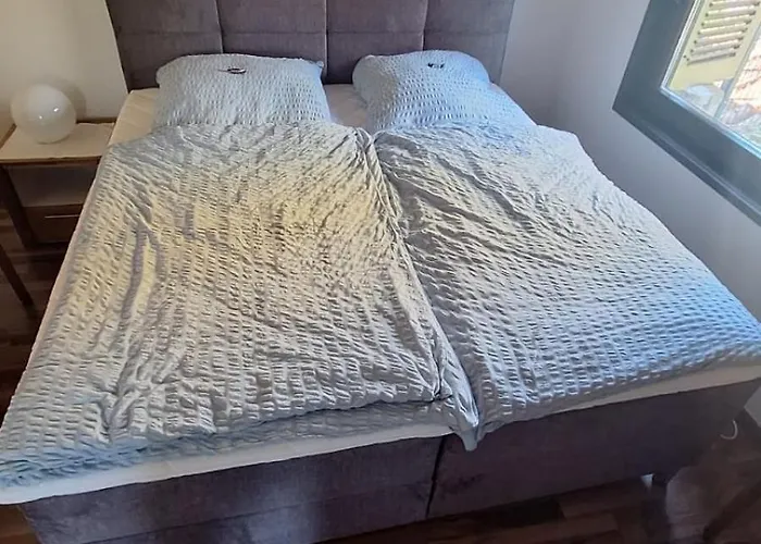 An Der Lister Windebruch